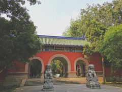 -灵谷景区