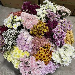 -蕾特恩专业祛痘·皮肤管理