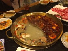 -杨家火锅(国美店)