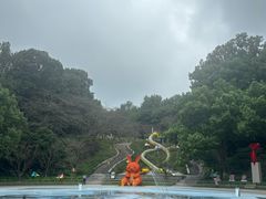 -杭州少年儿童公园