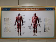 -通透堂中医·精准推拿(旗舰店)