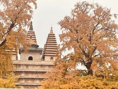 -北京石刻艺术博物馆(五塔寺)