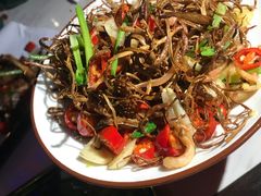 茶树菇鱿鱼-啤仕多·啤客国潮跳舞BAR(保俶路店)