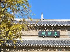 -灵谷景区