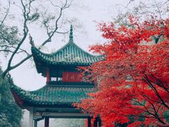 -岳麓山风景名胜区