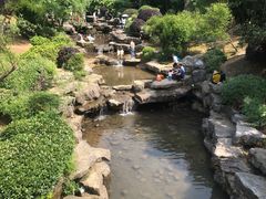 -桃花岭景区