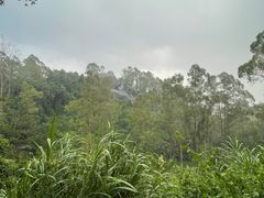 -火炉山森林公园