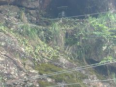 -安吉龙王山峡谷漂流