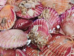 -老虎滩船说·海胆水饺·大连海鲜(老虎滩店)