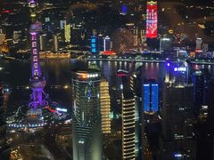 -The lounge 柏悦酒店大堂酒廊(上海环球金融中心店)