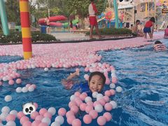 -美的鹭湖探索王国