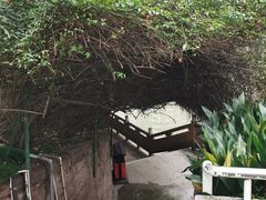 -成都市活水公园