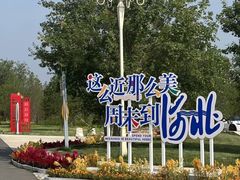 -白洋淀景区