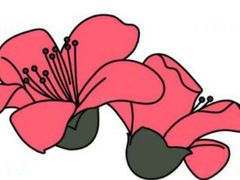 -中山夏威夷游泳馆(小榄店)