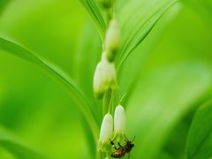 -国家植物园南园