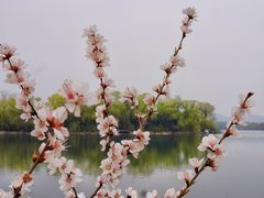 -颐和园