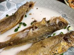 -小河无名面馆