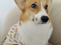 -怪兽屋·羊驼·猫咖·狗咖(俊华广场店)