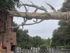 -红山国家森林公园