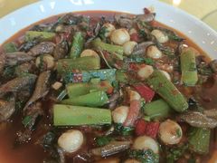 -胖大姐黄辣丁鱼庄(新津店)