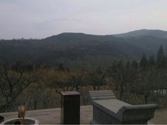 iphone_upload_pic-蒙山大佛景区