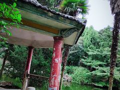 -叶家花园