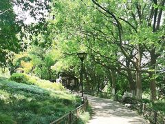 -吴山景区
