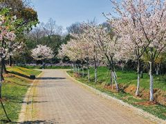 -上海海湾国家森林公园