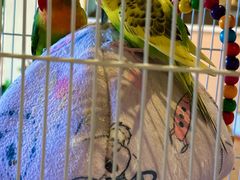 -品茗轩茶楼(江川路店)