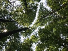 -山王坪喀斯特国家生态公园