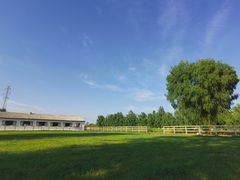 -北京群众马术培训基地