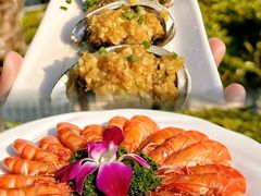 -小海豚•老字号海鲜餐厅(天涯店)