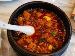 -陈麻婆豆腐总店