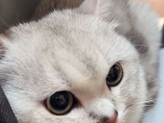 -恒幸动物医院·急重症转诊中心·神经内外科·CT核磁