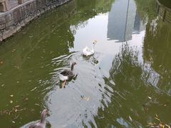 -上海千禧海鸥大酒店