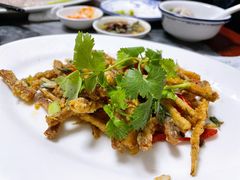 -金砂阿洲鱼册店