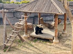 -石家庄市动物园