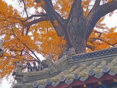 -青岛崂山太清宫