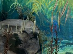 -上海海洋水族馆