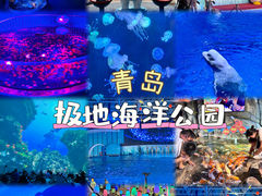 -海合安青岛极地海洋公园