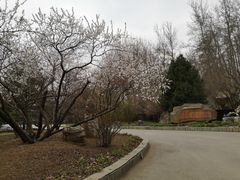-尚庄度假村·庭台树下·户外烧烤·团建CS·轰趴营地(上庄水库店)