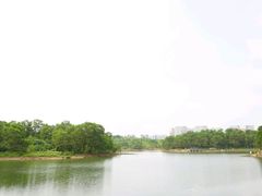 -聚龙山公园