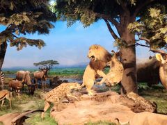 -国家自然博物馆