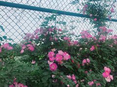 -江西财经大学(蛟桥园南校区)