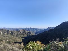 -大岭沟猕猴桃谷风景区