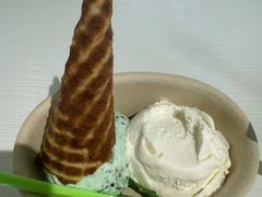 -Mint Gelato(二厂店)