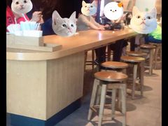 -星巴克(远洋店)
