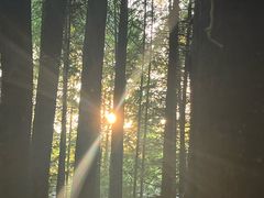 -山王坪喀斯特国家生态公园