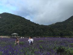 -广州市石门国家森林公园