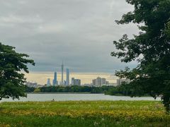 -海珠湖公园